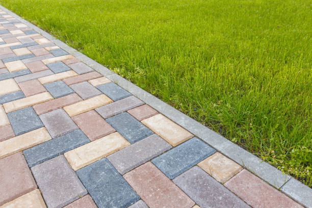Best Driveway Pavers Near Me  in Blackshear, GA